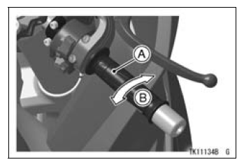 Throttle Control System