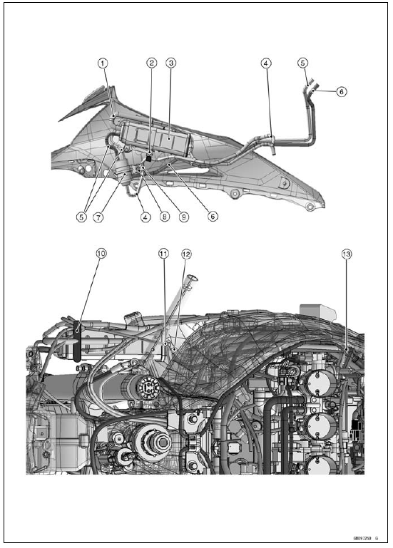 CAL and SEA-B1 Models