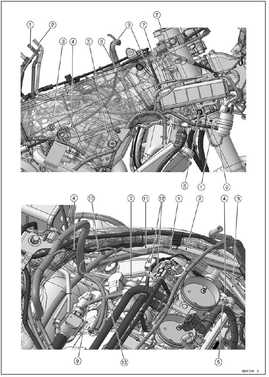 CAL and SEA-B1 Models