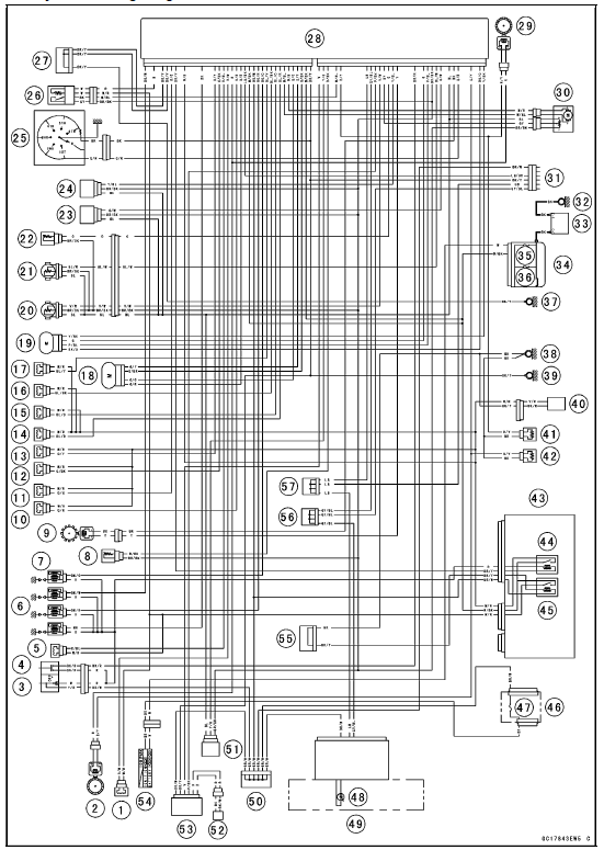 DFI System Wiring Diagram