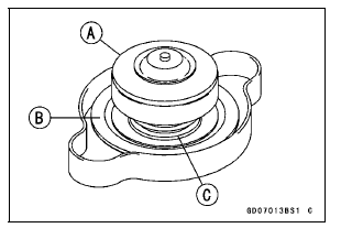 Radiator Cap Inspection 